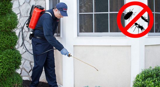 Kelkit Pire İlaçlama böcek ilaçlama ve haşere kontrolü — ilaclama-tr.com